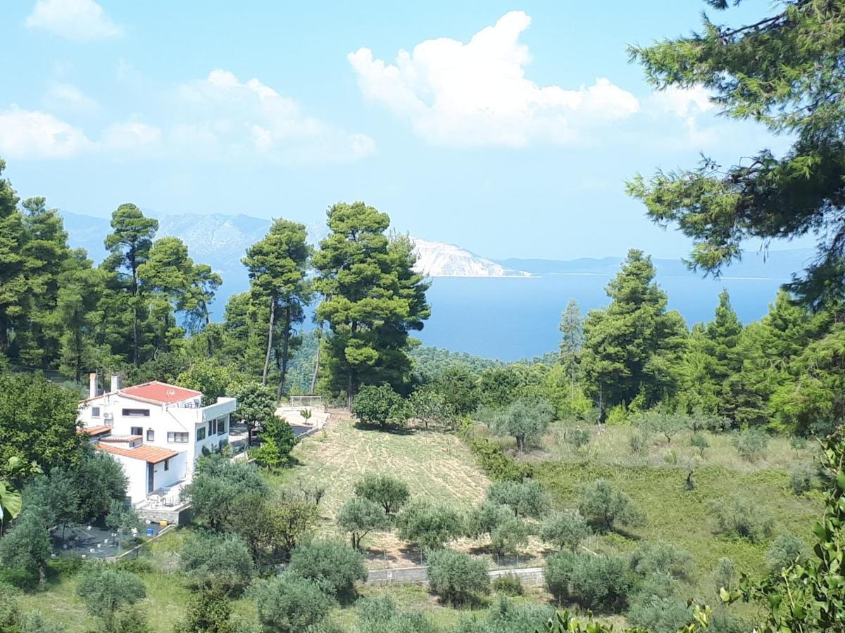 Wildherb House Agriovotano Luaran gambar