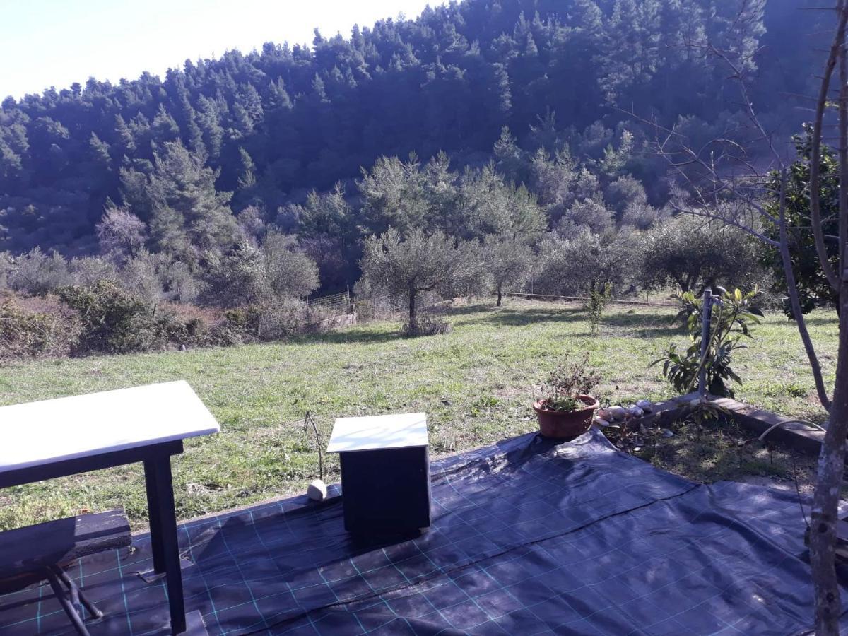 Wildherb House Agriovotano Luaran gambar