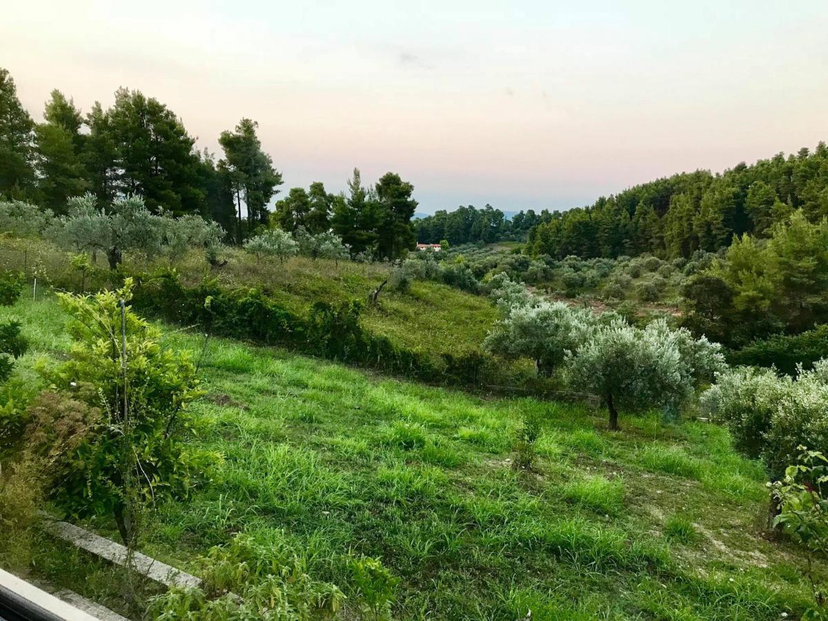 Wildherb House Agriovotano Luaran gambar