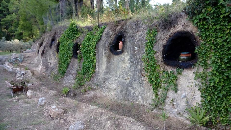 Wildherb House Agriovotano Luaran gambar